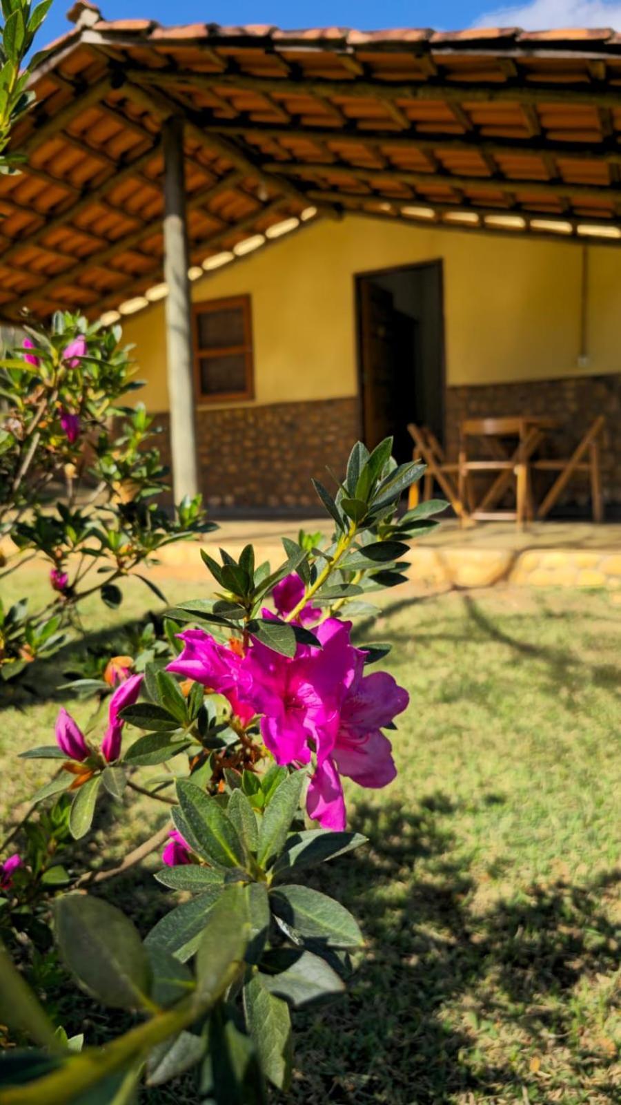 Pousada Velho Chico Vargem Bonita Bagian luar foto